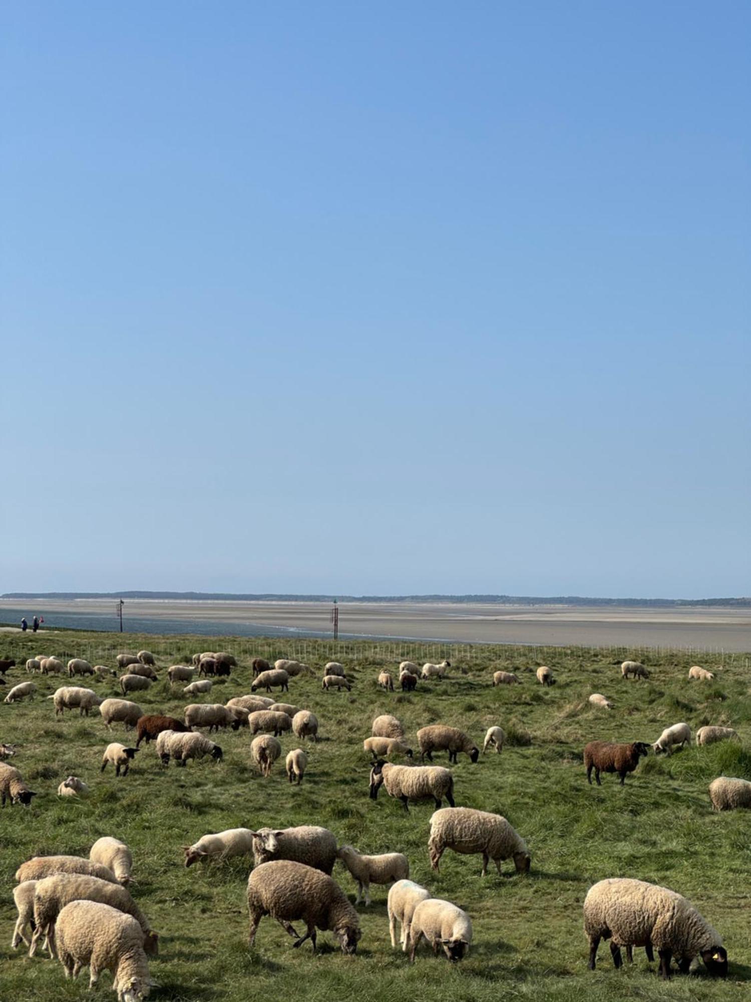 Gite Du Flot - Baie De Somme Boismont  외부 사진